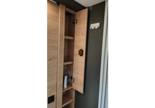 Autocaravana Perfilada DETHLEFFS Globebus Camp T1 de Ocasión