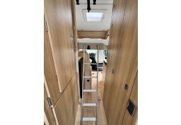 Furgoneta Cámper DREAMER Living Van Select Modelo 2025 Nueva en Venta