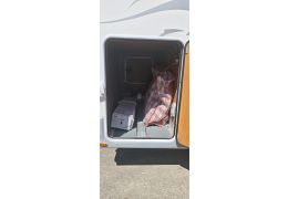 Autocaravana Perfilada GIOTTILINE Therry T33 de Ocasión