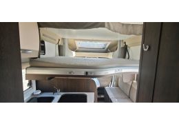 Autocaravana Perfilada BENIMAR Tesosoro 442 de Ocasión